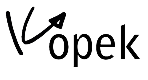 Modélisation financière des remontées de recettes avec Kopek - bases